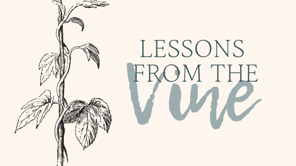 John 15:1-5 Lessons from the Vine